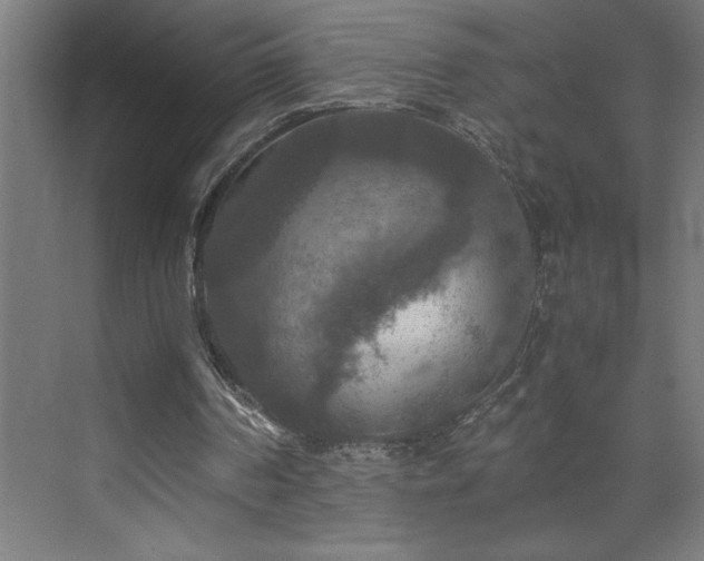 X0000073410194200607281135