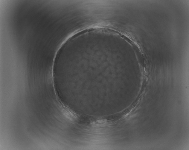 X0000073410196200607281135