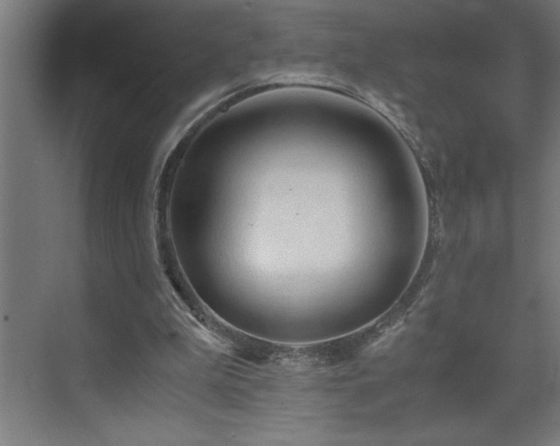 X0000073410199200607281135