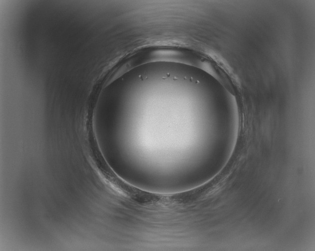 X0000073410201200607281135