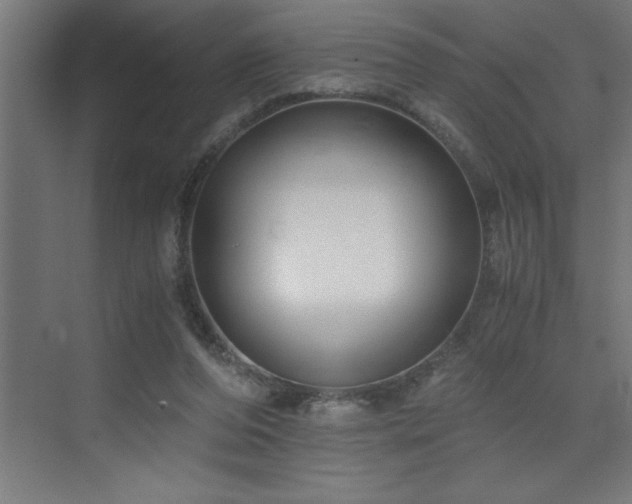 X0000073410208200607281135