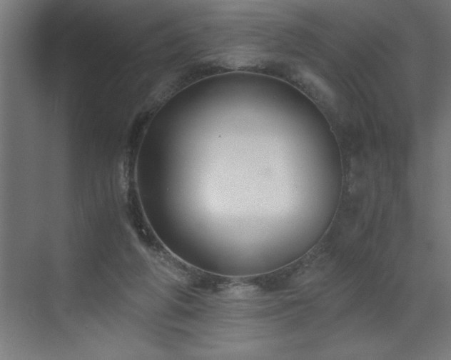 X0000073410210200607281135
