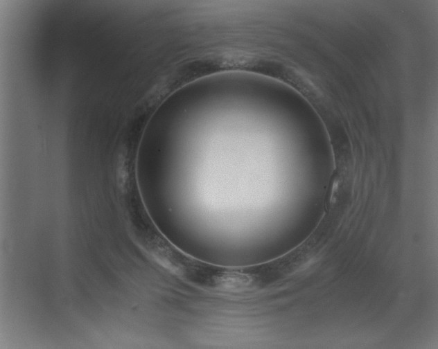 X0000073410215200607281135