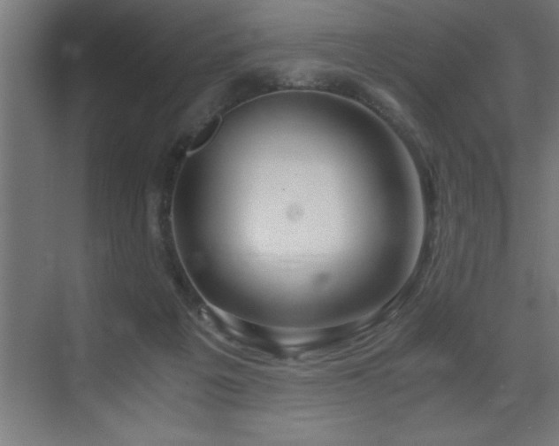 X0000073410217200607281135