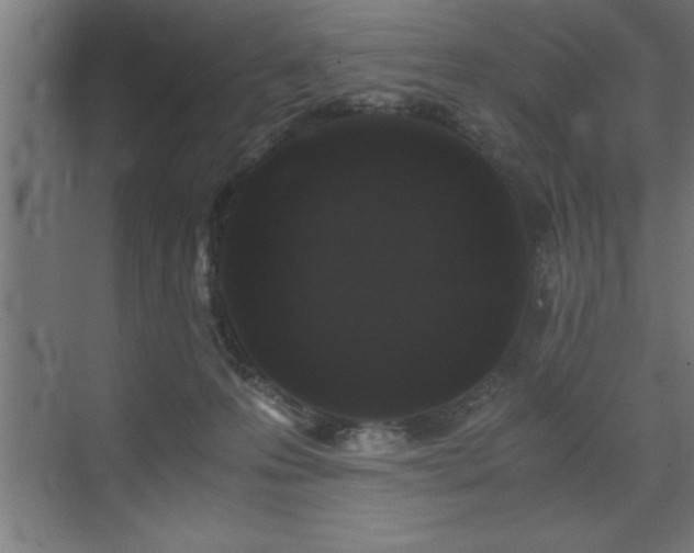 X0000073410223200607281135