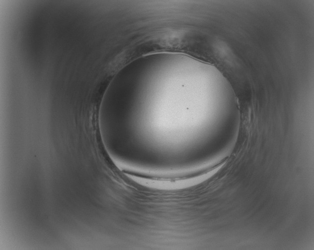 X0000073410233200607281134