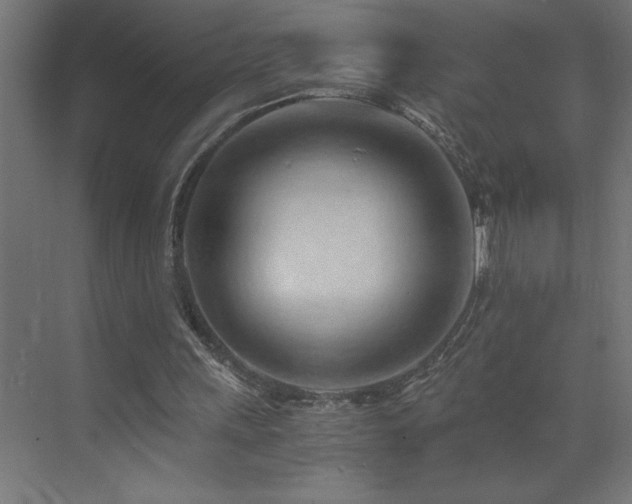 X0000073410243200607281133
