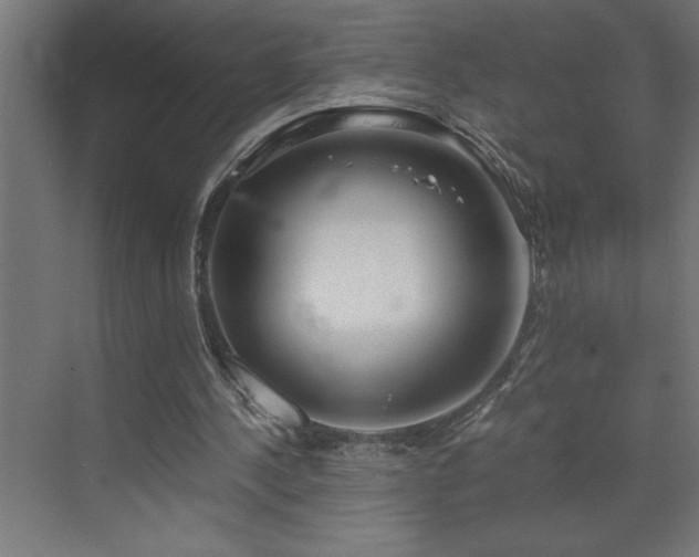 X0000073410244200607281134
