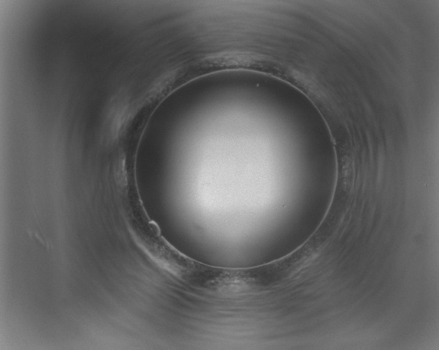 X0000073410254200607281134