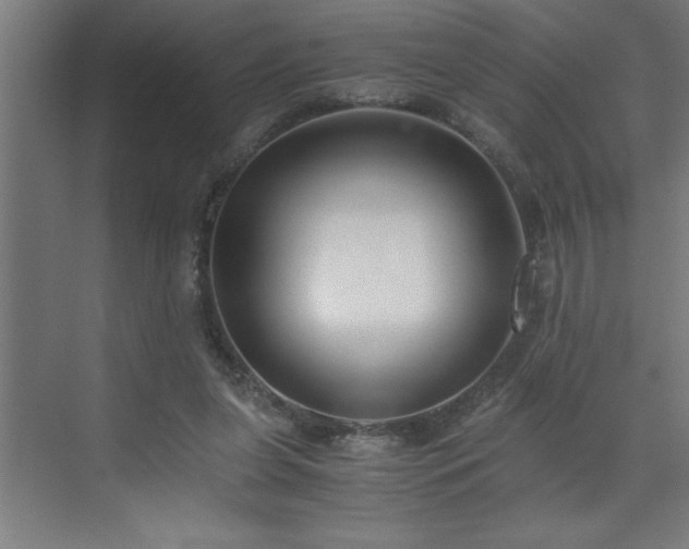 X0000073410255200607281134