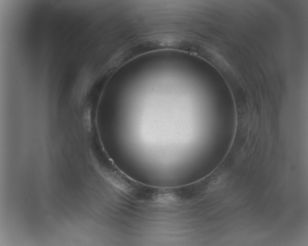 X0000073410262200607281134