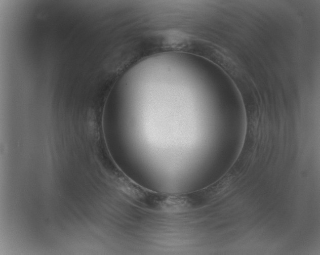 X0000073410270200607281134