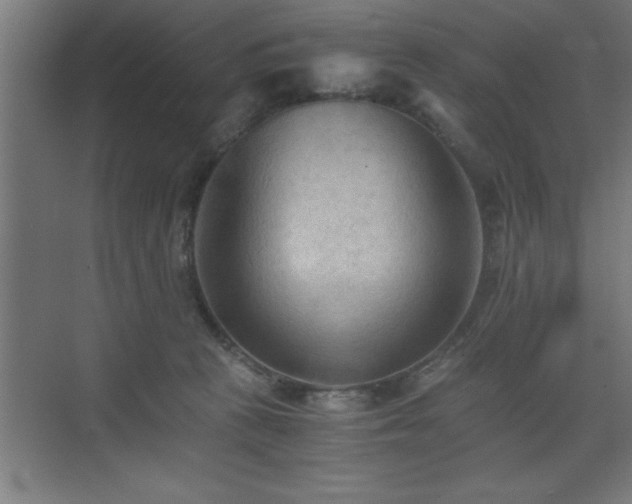 X0000073410273200607281134
