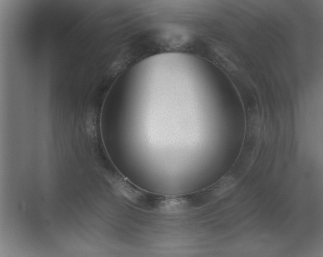 X0000073410274200607281134