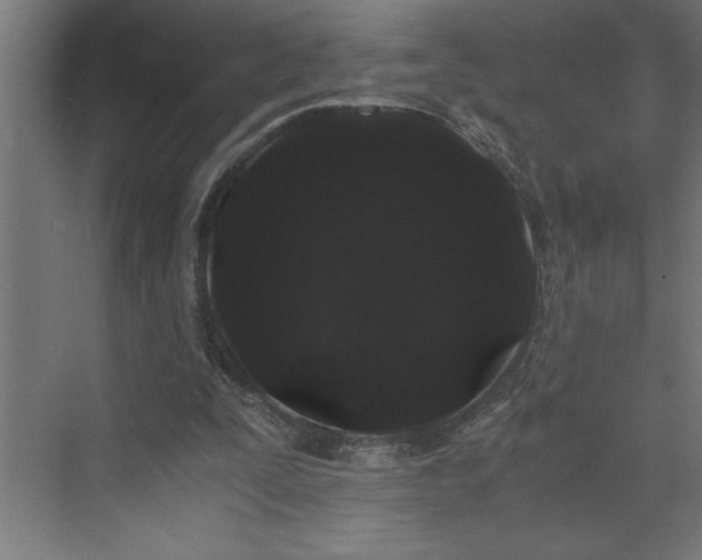 X0000073410295200607281133