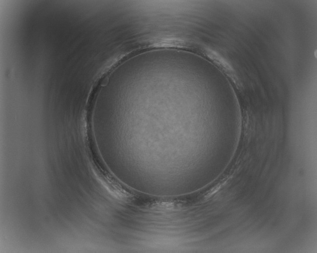 X0000073410298200607281133