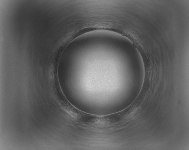 X0000073410303200607281133