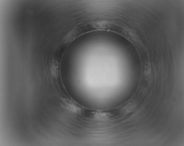 X0000073410332200607281133