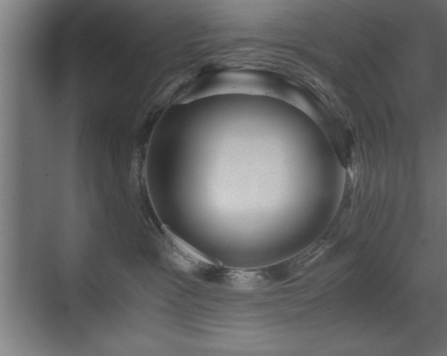 X0000073410333200607281133