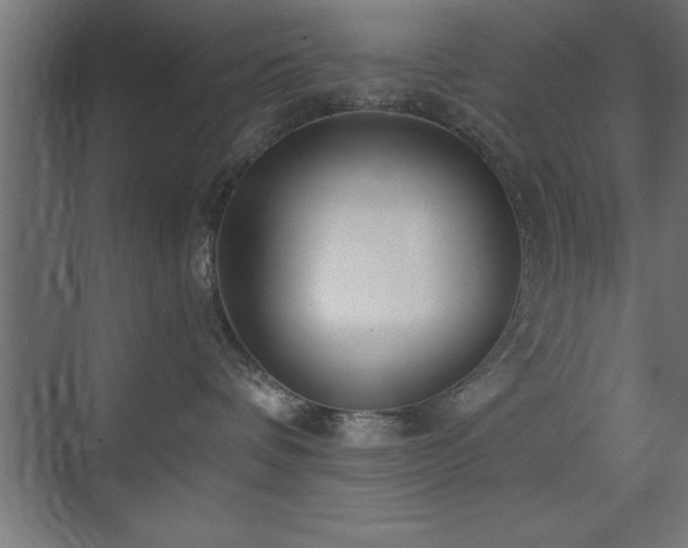 X0000073410336200607281133