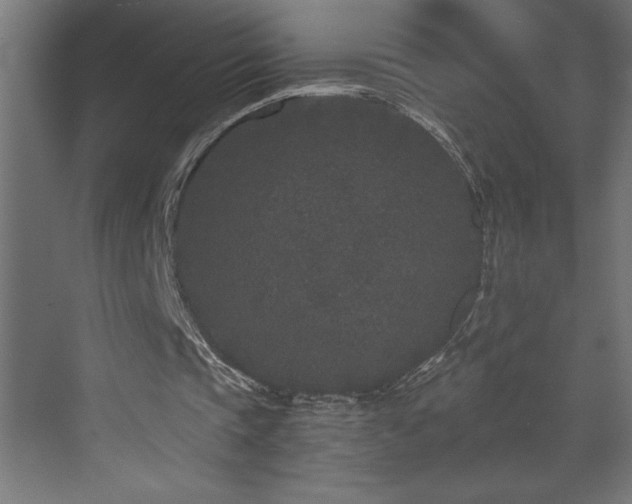 X0000073410337200607281132