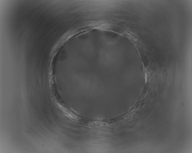 X0000073410339200607281132