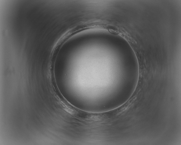 X0000073410341200607281132