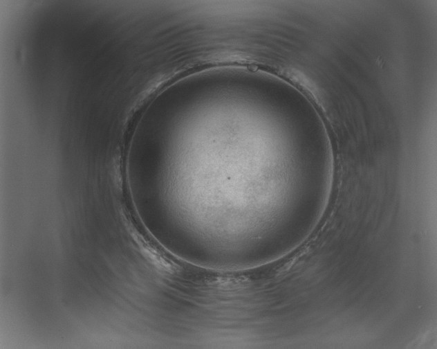 X0000073410345200607281132
