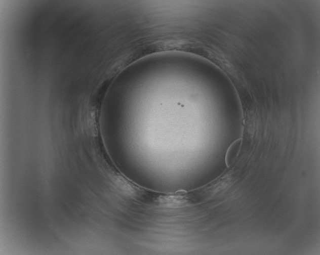 X0000073410378200607281133
