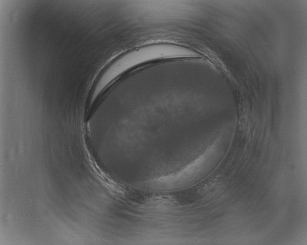 X0000073410386200607281132