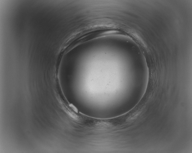 X0000073410397200607281132