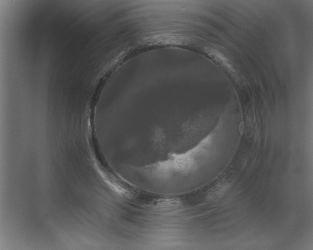 X0000073410398200607281132