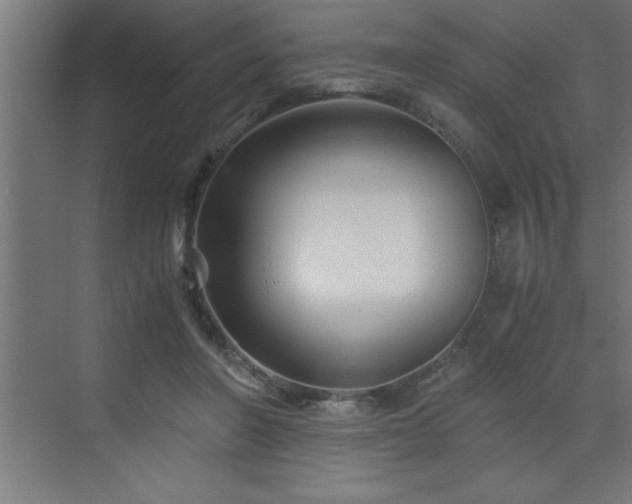 X0000073410406200607281131