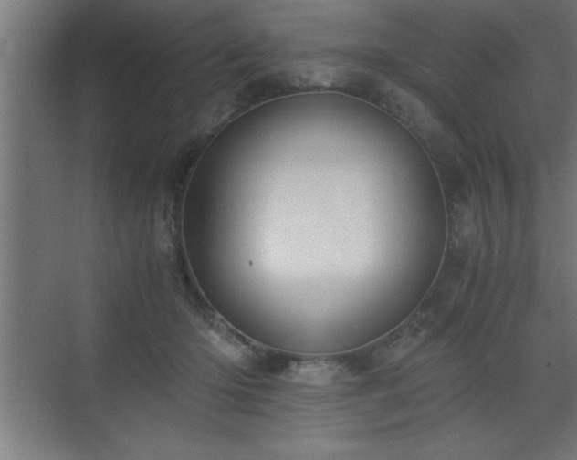 X0000073410414200607281131
