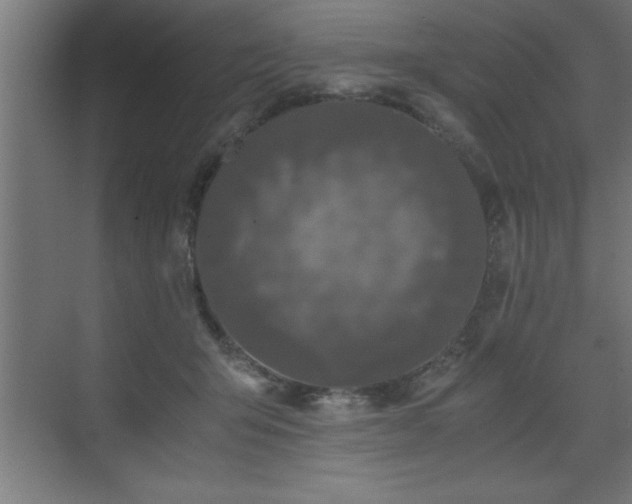 X0000073410415200607281131