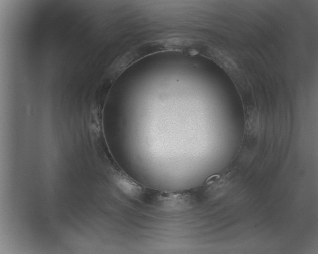X0000073410430200607281131