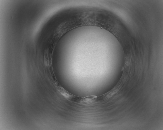 X0000073410431200607281131