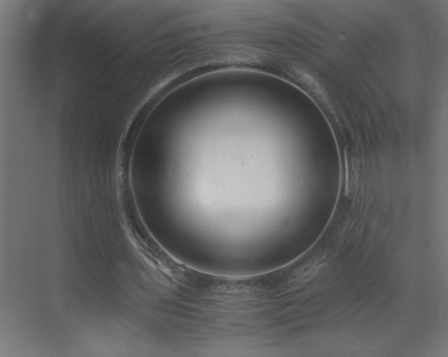 X0000073410435200607281130