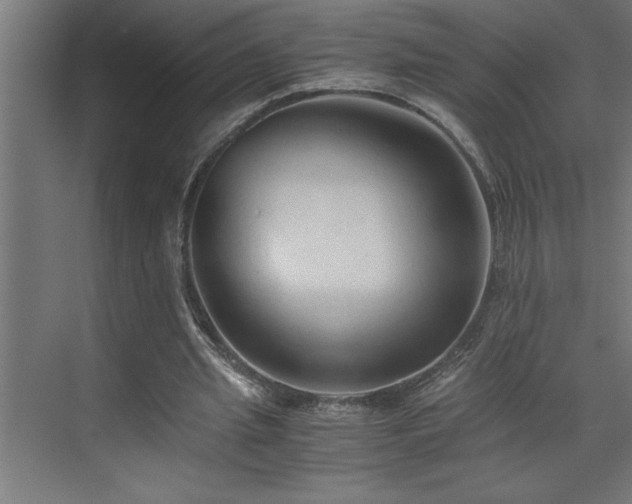 X0000073410437200607281130