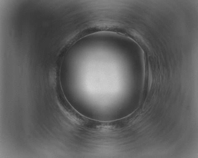 X0000073410448200607281130