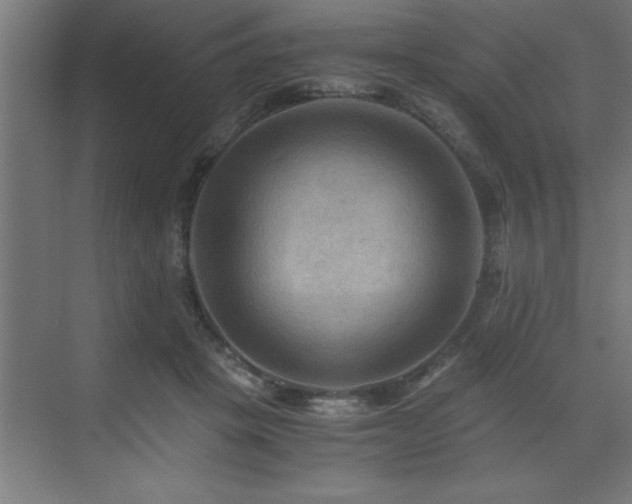 X0000073410457200607281131