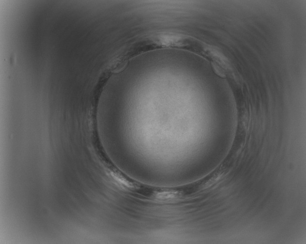 X0000073410461200607281131