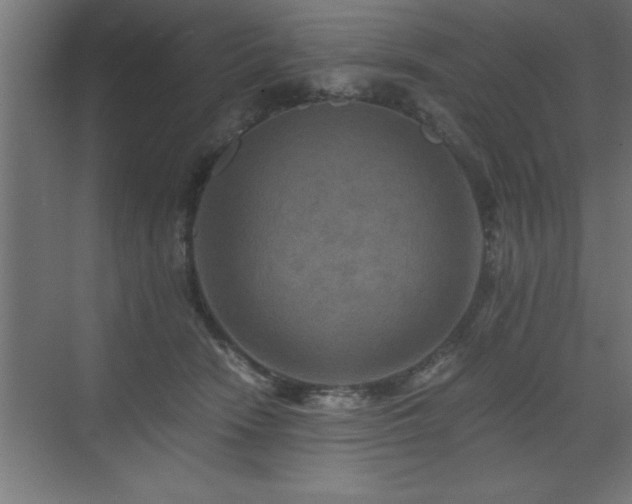 X0000073410466200607281131