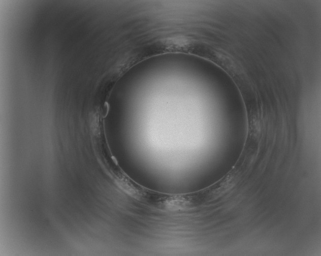 X0000073410468200607281131