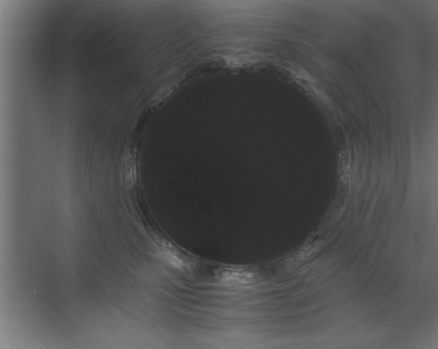 X0000073410471200607281131