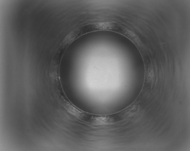 X0000073410473200607281131