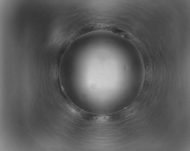 X0000073410474200607281131