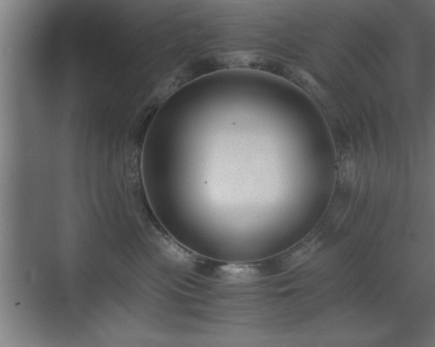 X0000073410477200607281131