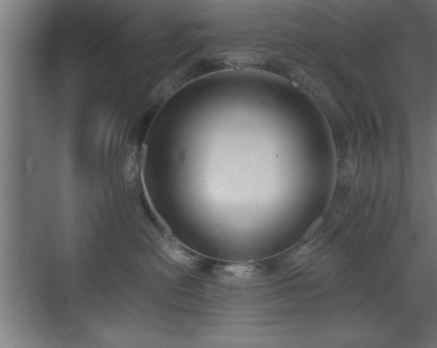 X0000073410478200607281131