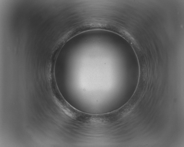 X0000073410490200607281130